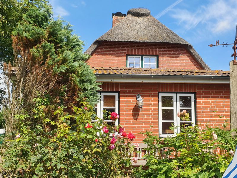 Ferienhaus Deichhaus auf Nordstrand