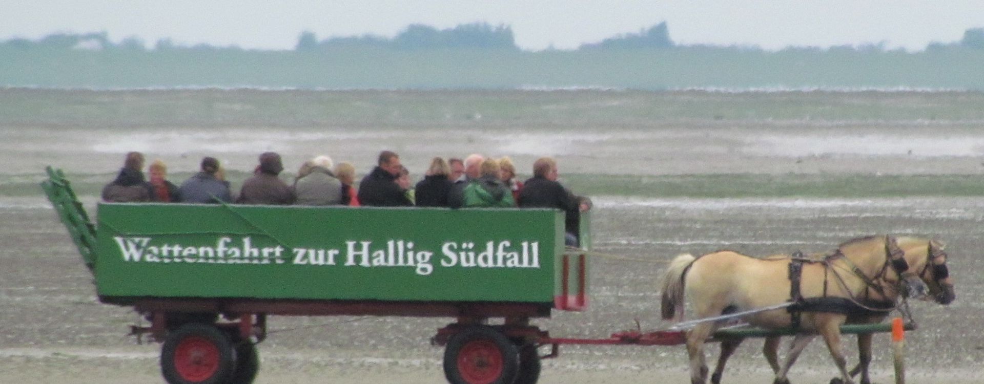 Wattenfahrt zur Hallig Südfall